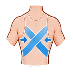 Back Compression Panels