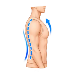 Posture Support