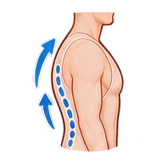 Posture Enhancement